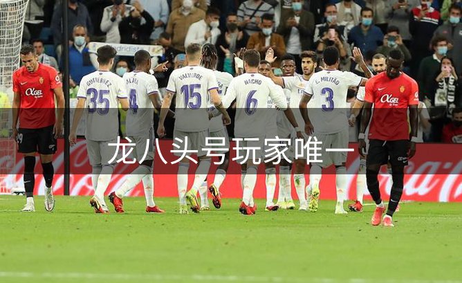 了解龙八头号玩家唯一